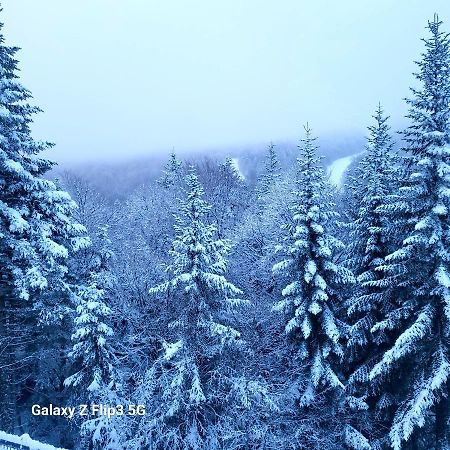 Gites Basques ラギオール エクステリア 写真