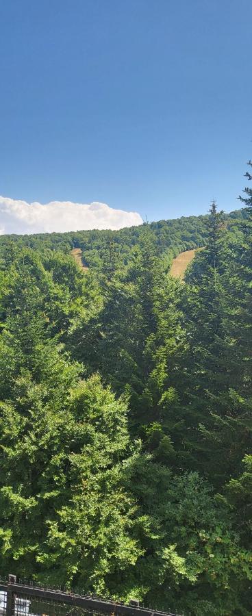 Gites Basques ラギオール エクステリア 写真