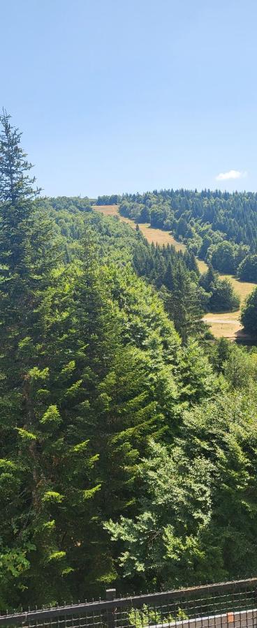 Gites Basques ラギオール エクステリア 写真